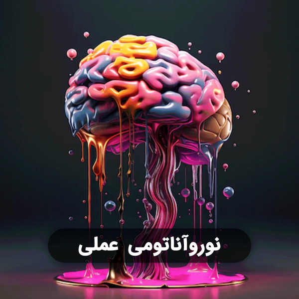 بسته جامع نوروآناتومی عملی