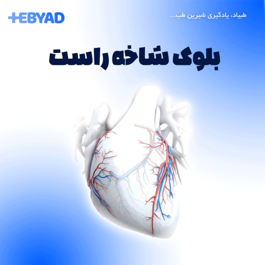 بلوک شاخه راست