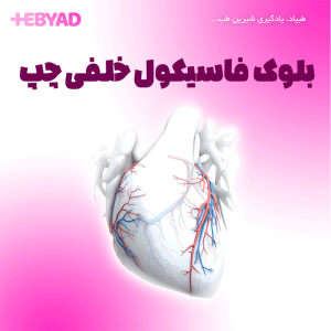 بلوک فاسیكول خلفی چپ