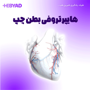 هایپرتروفی بطن چپ