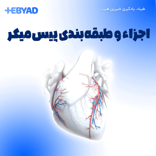 انواع پیس میکر