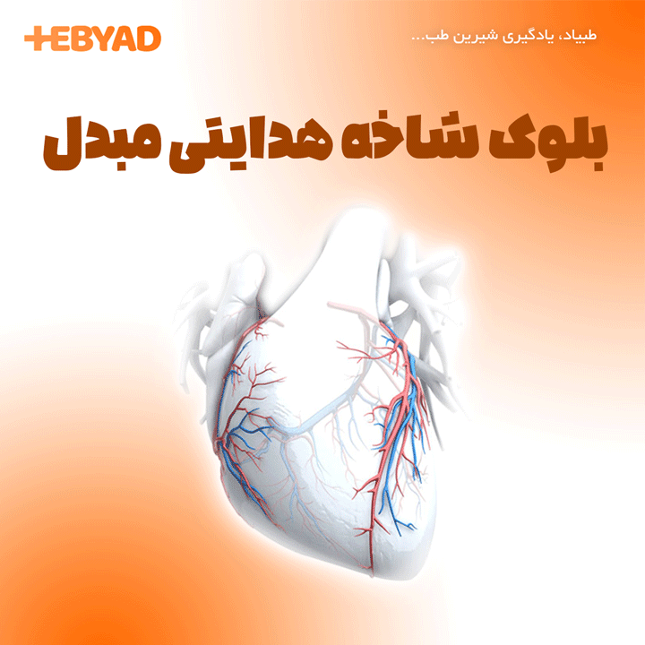 بلوک شاخه هدایتی مبدل