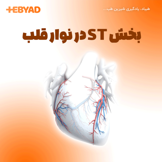 بخش ST در نوار قلب